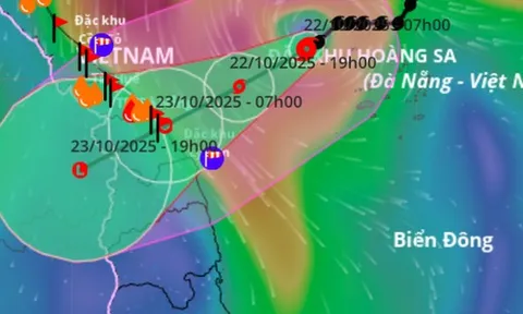 Bão số 12 Fengshen cách Đà Nẵng 240 km, gây mưa rất to từ đêm nay, cục bộ tới hơn 800 mm