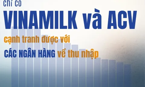 Những DN lớn nhất: Chỉ Vinamilk và ACV trả lương bình quân trên 30 triệu/tháng, cạnh tranh với Ngân hàng, công ty nào có thu nhập 70,5 triệu/tháng?