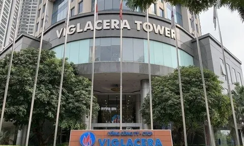 Viglacera chốt ngày chi gần 1.000 tỷ đồng trả cổ tức năm 2024