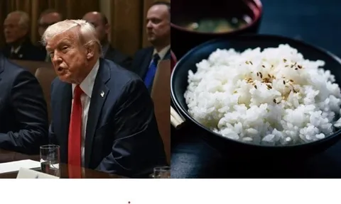 Thông điệp từ bát cơm trong bữa trưa của Tổng thống Mỹ Trump ở Tokyo