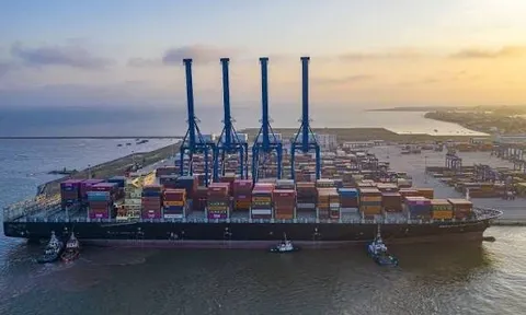 Công ty logistics chi 2.000 tỷ đầu tư chứng khoán, tạm lãi 221 tỷ đồng