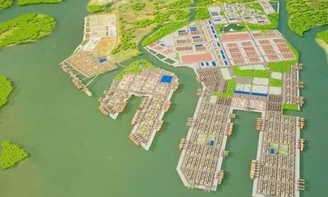 TP HCM đề xuất 21 chính sách cho khu thương mại tự do Cái Mép Hạ 3.800 ha