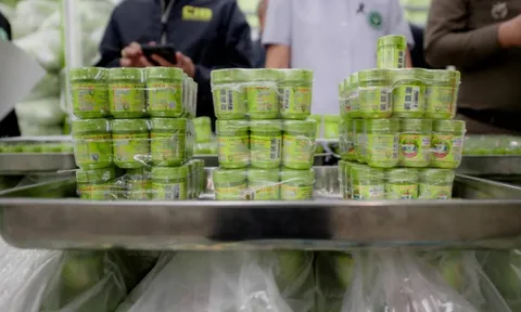 Danh sách 9 loại hít mũi thảo dược Hong Thai sản xuất chui; 2,35 triệu sản phẩm bị thu giữ