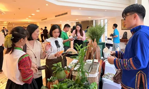 TP HCM phát triển sản phẩm du lịch mới