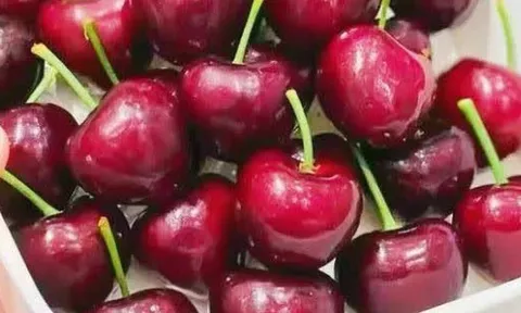 4 loại quả dễ bị tiêm thuốc kích thích, cần cẩn trọng khi chọn mua