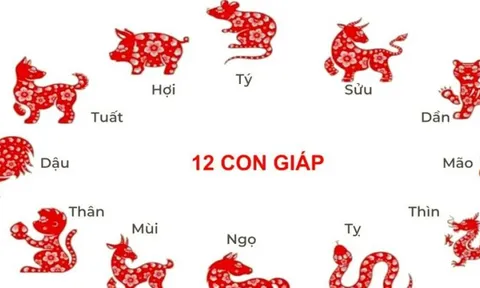 2 con giáp sắp lội ngược dòng viên mãn, tiền bạc đủ đầy, 1 con giáp lại cần thận trọng
