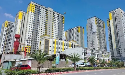 Một đại gia bất động sản vẫn kiên định với "nhà vừa túi tiền" dù nhiều nơi đã vượt 100 triệu đồng/m2