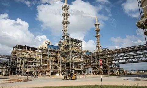 Sở hữu 16 triệu tấn đất hiếm, quốc gia Đông Nam Á chuẩn bị xây nhà máy siêu nam châm hơn 140 triệu USD, nhắm hợp tác với cả Mỹ và Trung Quốc