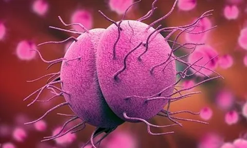 Hà Nội ghi nhận ca mắc não mô cầu là nam thanh niên 24 tuổi