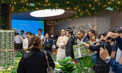 Dòng tiền đầu tư rẽ sóng Nam tiến: Nhà giàu miền Bắc chuyển hướng “đánh bắt xa bờ” ở thị trường sôi động bậc nhất phía Nam