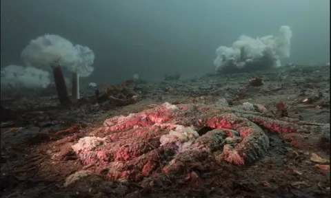 Tiếng nổ như đại bác vang lên liên tục từ lòng hồ suốt hàng trăm năm: Đáp án khiến giới khoa học sững sờ