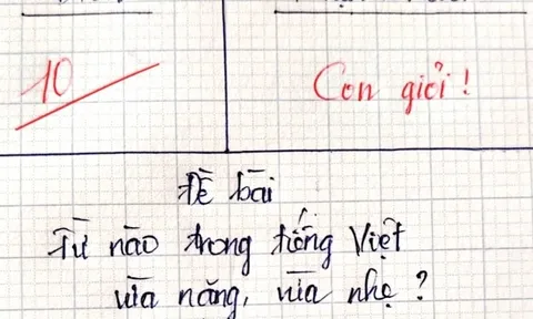 Từ nào trong Tiếng Việt vừa nặng, vừa nhẹ? - Trả lời đúng, bạn lọt top 1% người thông minh nhất!
