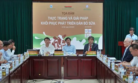 Nghịch lý ngành sữa: Chế biến bùng nổ nhưng quy mô lao dốc