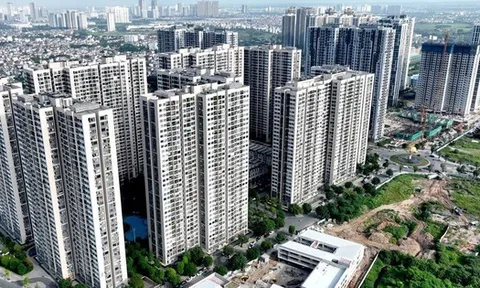 Giá chung cư sẽ giảm vào năm sau?