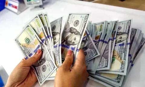 Kỳ vọng Fed cắt giảm lãi suất kéo USD xuống đáy nhiều tháng