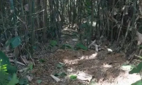 Đang đào giun thấy xẻng chạm phải vật cứng, lão nông dân run rẩy phát hiện kho báu nặng 30kg ngàn năm tuổi còn nguyên vẹn