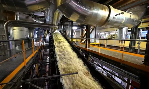 Một ngành ở châu Âu gặp khủng hoảng nghiêm trọng: Càng làm càng lỗ, giá chạm đáy, biên lợi nhuận rơi xuống âm