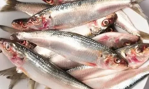 Loại cá nhìn quá đỗi bình thường ở chợ Việt là kho dinh dưỡng, bổ ngang "tổ yến nhân sâm", tiếc rằng ít người biết