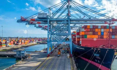 Không ai đăng ký tham gia đấu giá cổ phần Cảng Sài Gòn!