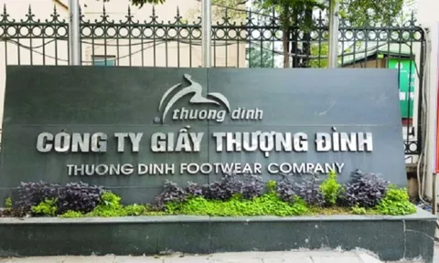 Trả gấp 10 lần giá khởi điểm, 2 nhà đầu tư ôm trọn 69% cổ phần Giầy Thượng Đình