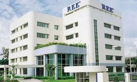 Quỹ ngoại chỉ mua được hơn 1% cổ phiếu REE đã đăng ký