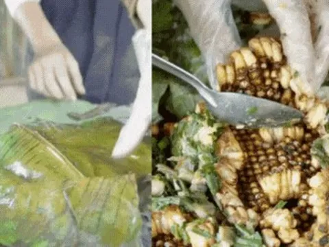 Hơn 9 triệu người vào xem món đặc sản núi rừng béo ngậy này, nhưng không biết có bao nhiêu người dám thử?