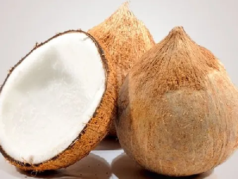 Bất ngờ với giá dừa khô ở miền Tây