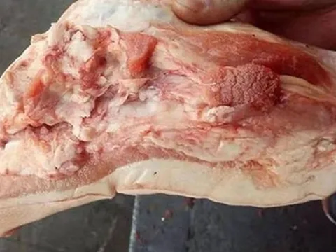3 phần thịt lợn chứa đầy độc tố và vi khuẩn, rẻ mấy cũng chớ dại mua!
