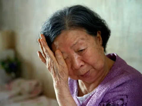 85 tuổi, cụ bà sống cùng cháu gái trong căn nhà lụp sụp không ánh nắng, bên cạnh là ngôi nhà 3 tầng của con trai: Lỗi là do tôi!