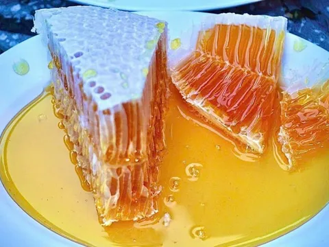 Tuyệt chiêu nhận biết mật ong nguyên chất đã bị pha nước