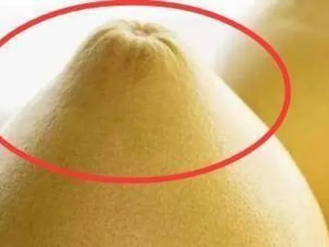 Mùa này có loại quả tốt hơn thịt: Chợ Việt bán sẵn, không mua phí của trời