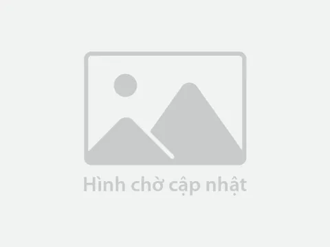 Thêm 2 dòng xe máy điện VinFast, giá hợp lý