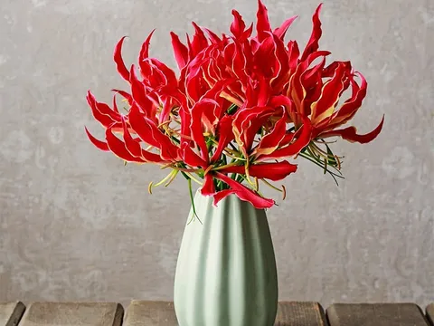 Loài hoa đẹp kỳ lạ mọc đầy ở Việt Nam: Vườn Quốc gia đưa cảnh báo tuyệt đối không được sờ hay hái