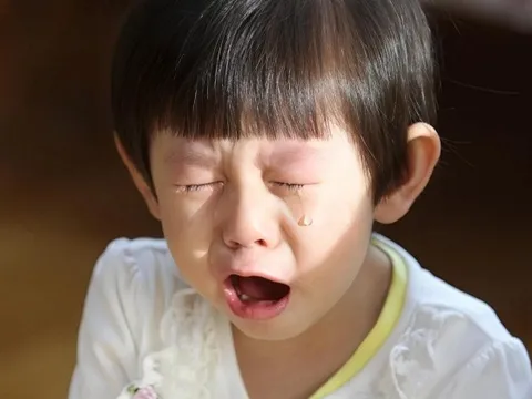 Giáo sư Harvard chỉ ra: 3 dấu hiệu ở trẻ dự báo lớn lên "không có tiền đồ"!