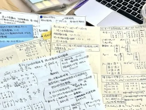 Không phải tiếng Anh, đây là ngôn ngữ mà ChatGPT gợi ý nên học nhất: 5 năm nữa sẽ cực hot!