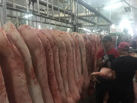 Giá heo hơi hôm nay, 13-12: Thịt heo tại chợ cũng tăng vọt