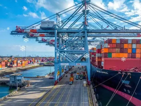 Không ai đăng ký tham gia đấu giá cổ phần Cảng Sài Gòn!