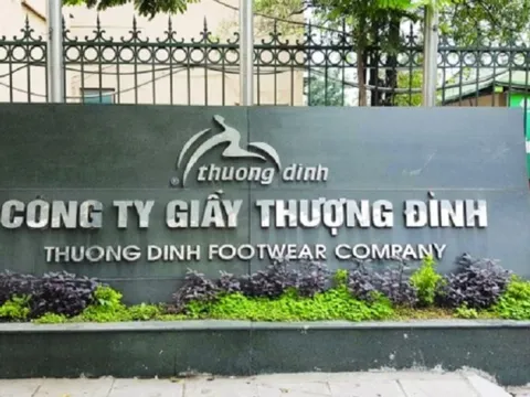 Trả gấp 10 lần giá khởi điểm, 2 nhà đầu tư ôm trọn 69% cổ phần Giầy Thượng Đình